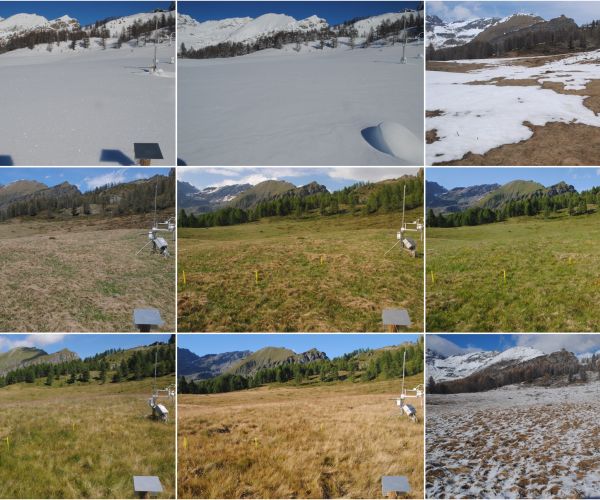 nove immagini di una prateria, scattate sempre nello stesso punto in momenti diversi dell'anno che evidenziano l'evoluzione stagionale
