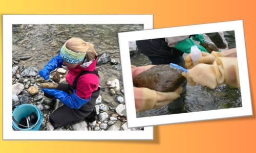 Le diatomee dei torrenti glaciali valdostani