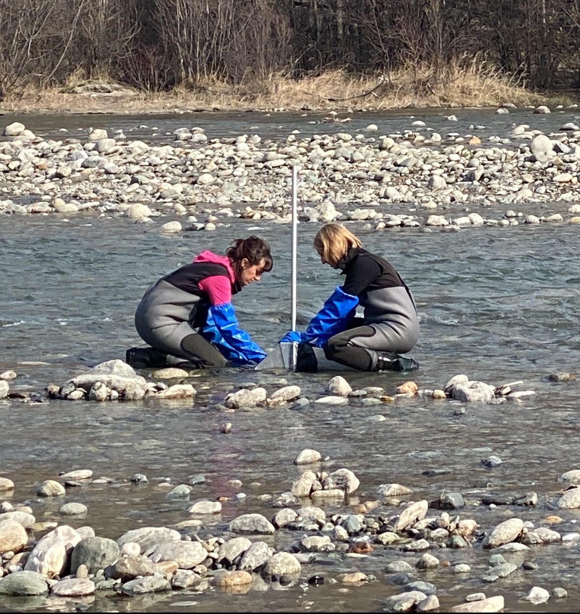 campionamento con retino immanicato modificato