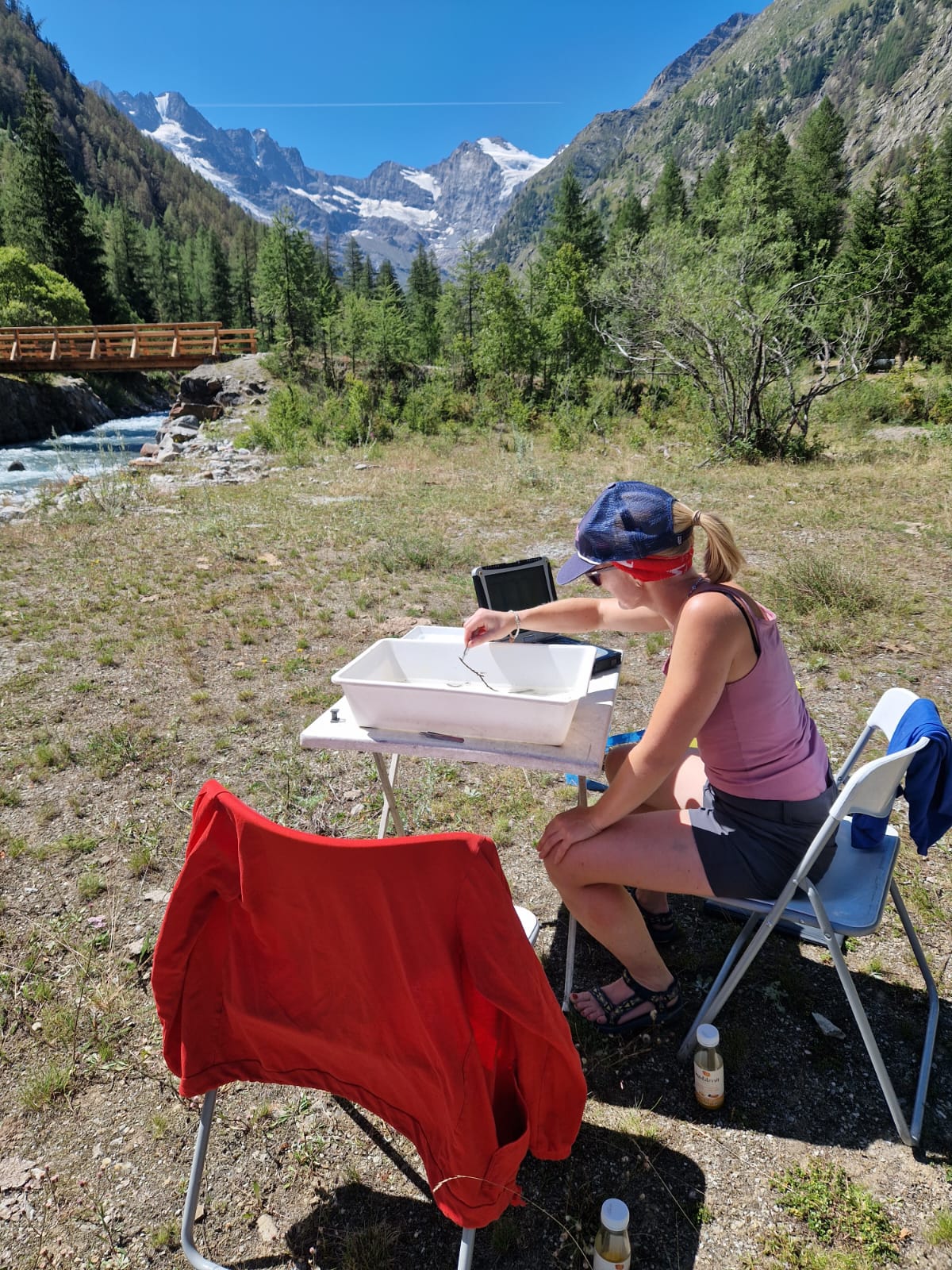 Riconoscimento e conteggio in campo