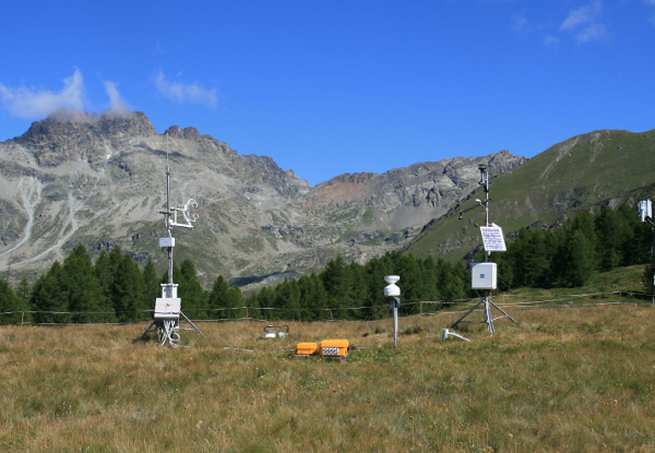 FIG 1 INDICATORE CARBONIO small