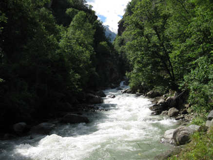 fig 2 piccolo glaciale