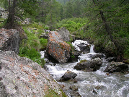 fig. 3 molto piccolo da scorrimento