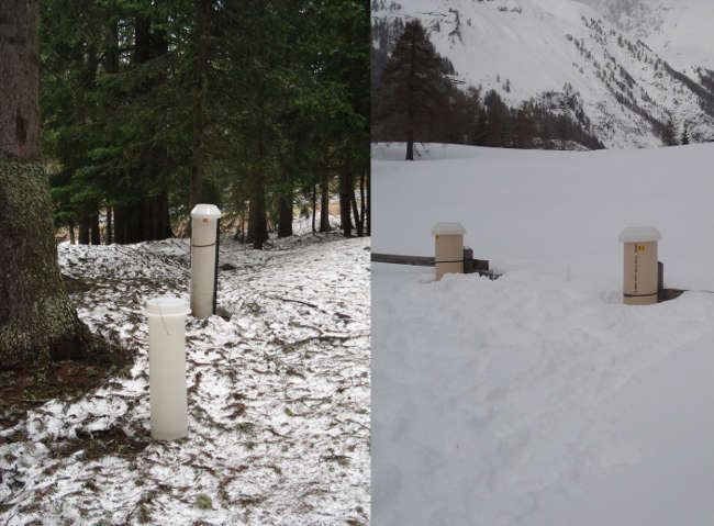 CONECOFOR immagine 3