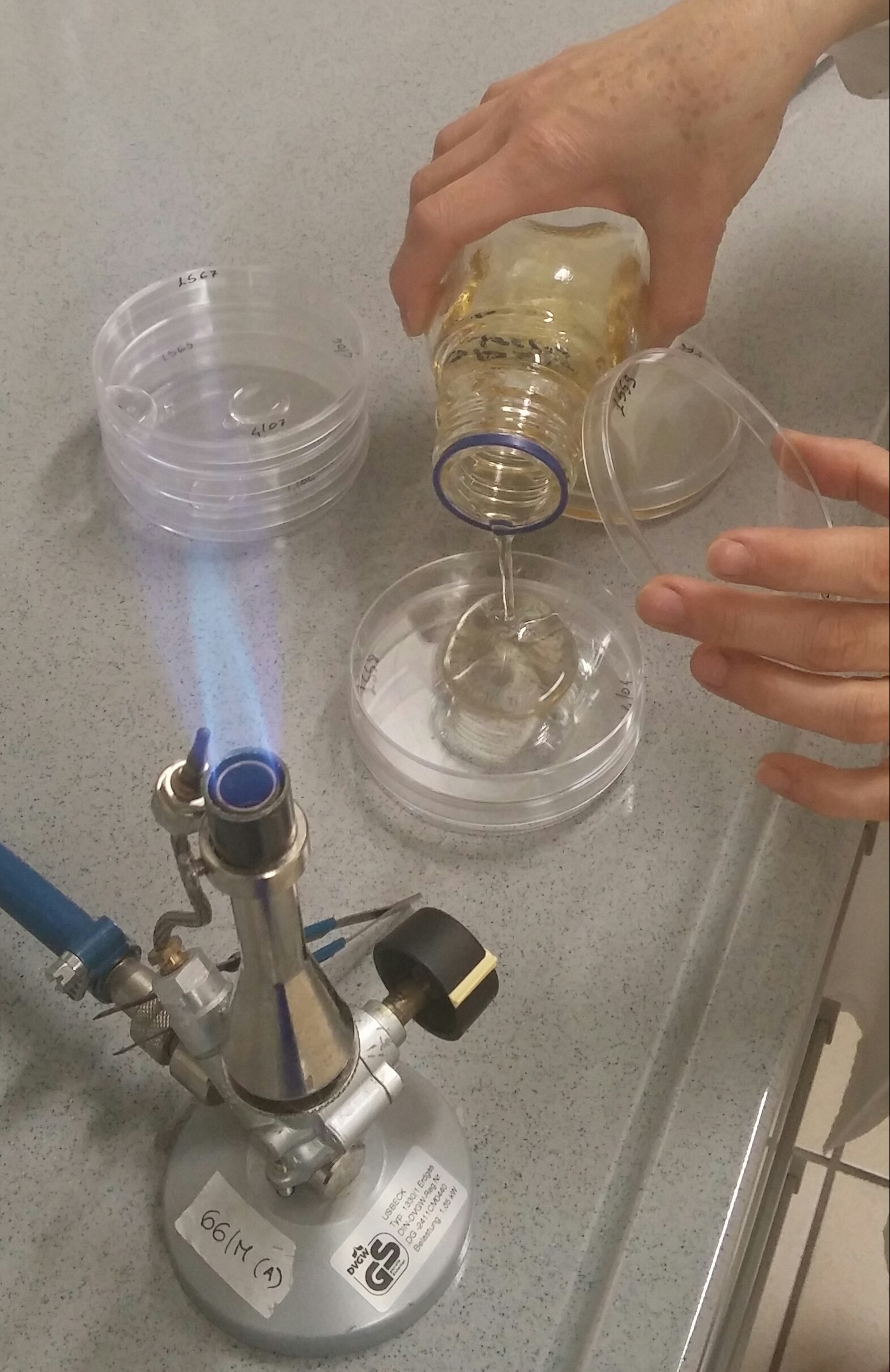 2016 analisi acqua pot lab micro