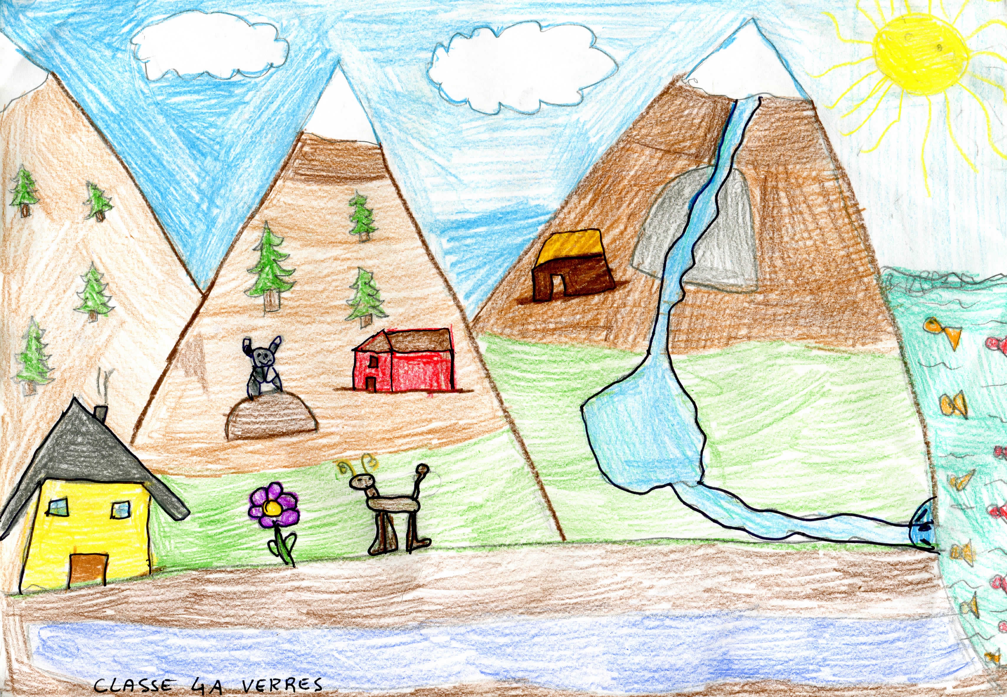 immagine didattica 1