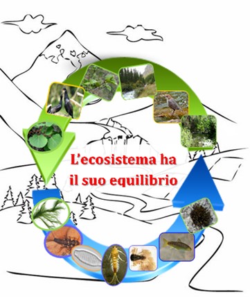 ecosistema