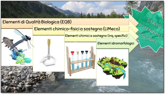 monitoraggi potenziale ecologico
