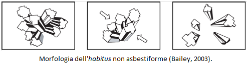 morfologia dellhabitus non asbestiforme tris