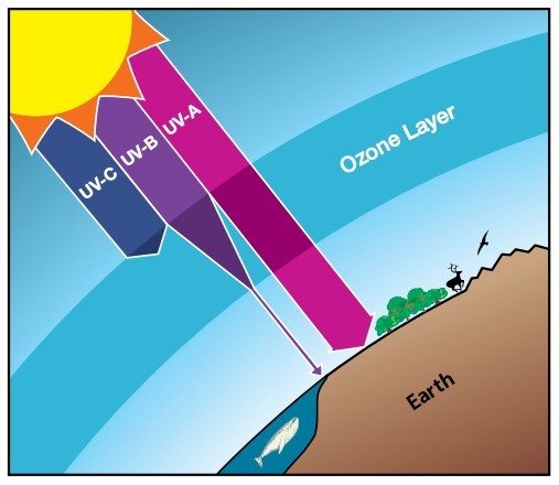 Ozone.unep.org