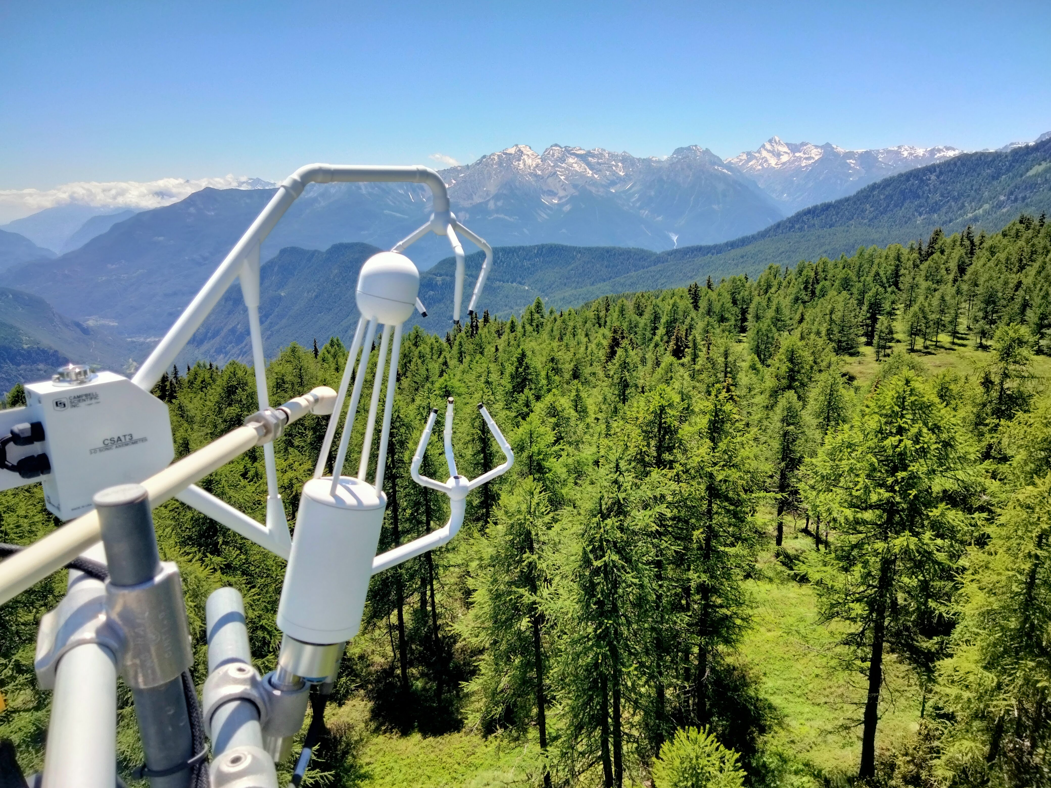 sito monitoraggio pascolo icos it tor torgnon