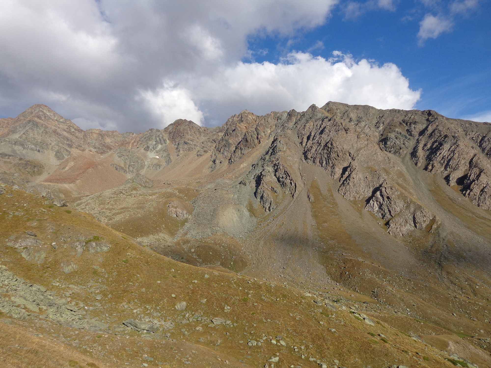 praterie alpine che colonizzano i versanti detritici del vallone dell'Arpisson (Cogne), con il Pic Garin (3.461 m)