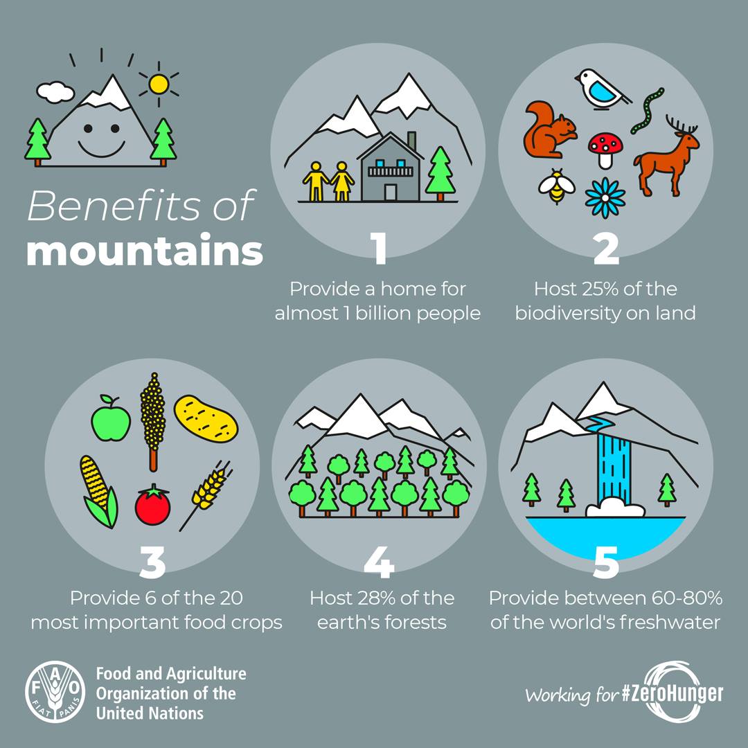 Le montagne forniscono il 60-80% dell'acqua dolce a livello globale (fonte FAO).