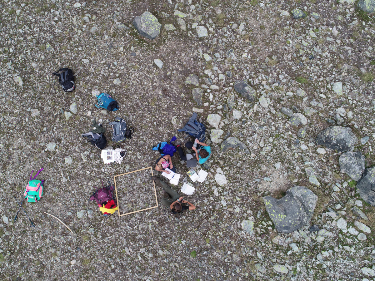 Tecnici impegnati nella osservazione della vegetazione in alta montagna. Il dataset è stato costruito anche con i siti afferenti alla rete globale GLORIA - Global Research Initiative in Alpine Environment, quale IT-MAV del Parco Naturale Mont Avic, monitorato da 22 anni.