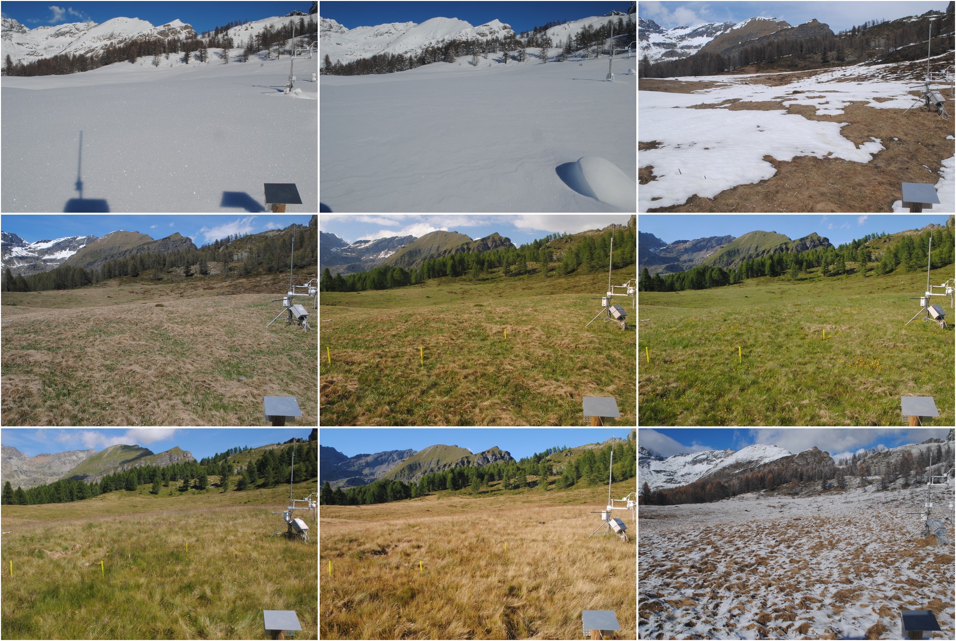 nove immagini di una prateria, scattate sempre nello stesso punto in momenti diversi dell'anno che evidenziano l'evoluzione stagionale