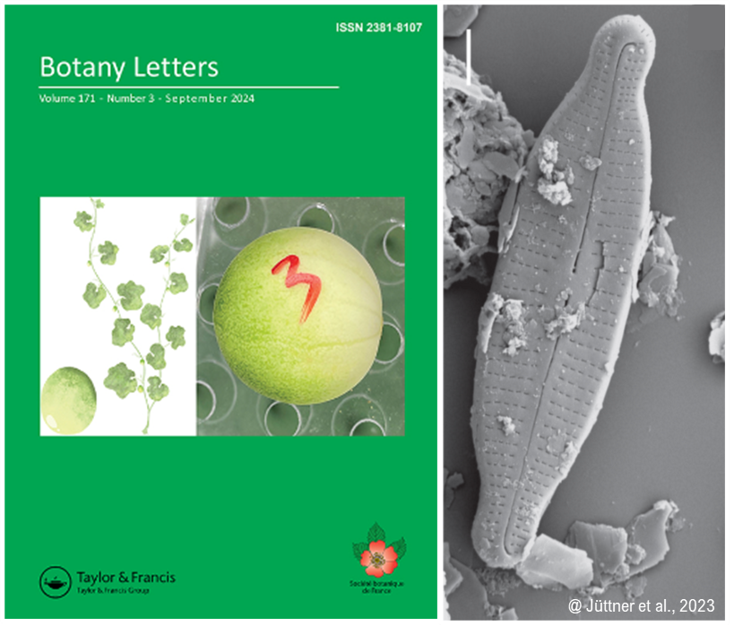 copertina della rivista scientifica Botany letters nella quale è stato pubblicato l'articolo "Diatom assemblages in glacial-fed streams of Italian Western Alps"