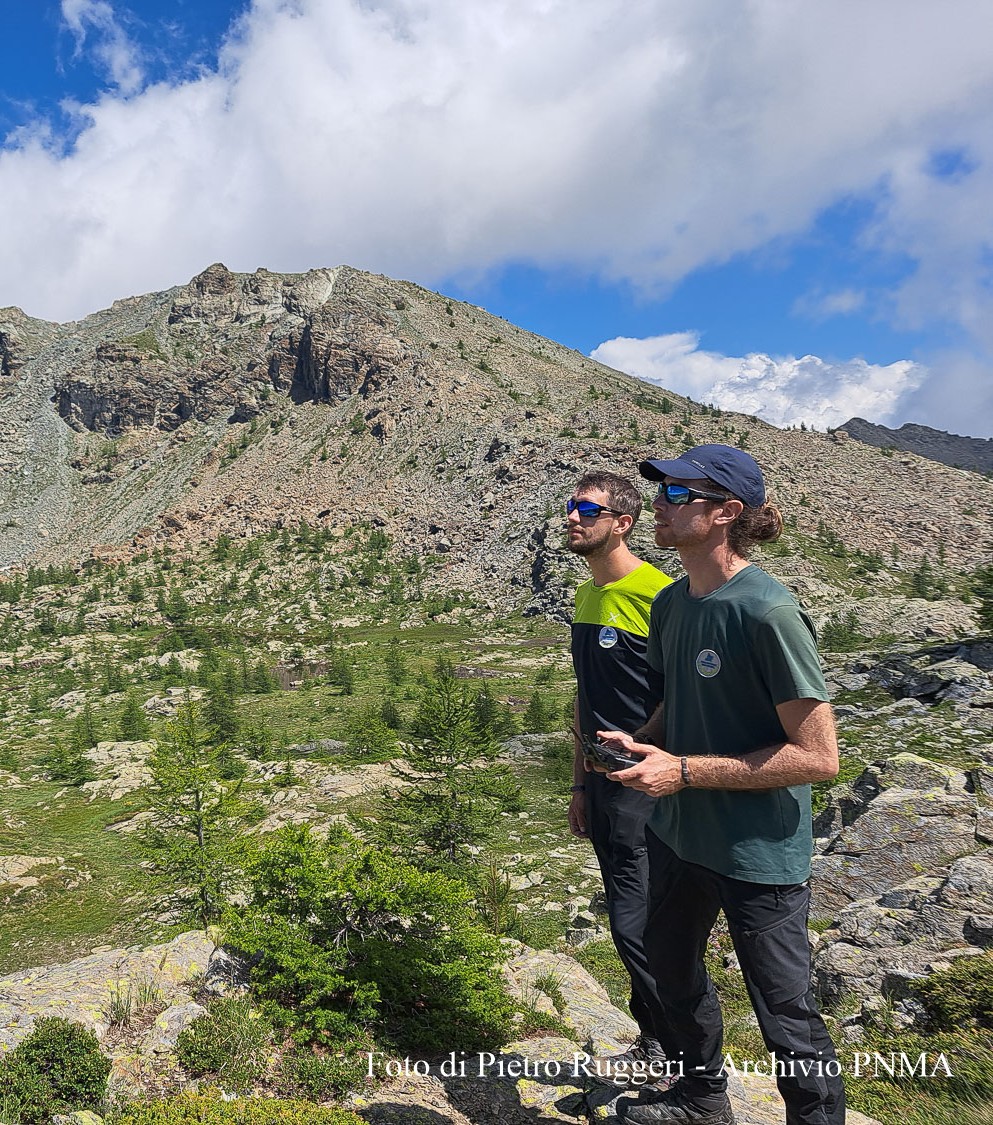 Guardaparco mentre lavora durante il periodo estivo
