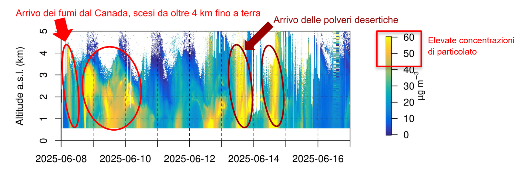 12 Lidar arrivo fumo
