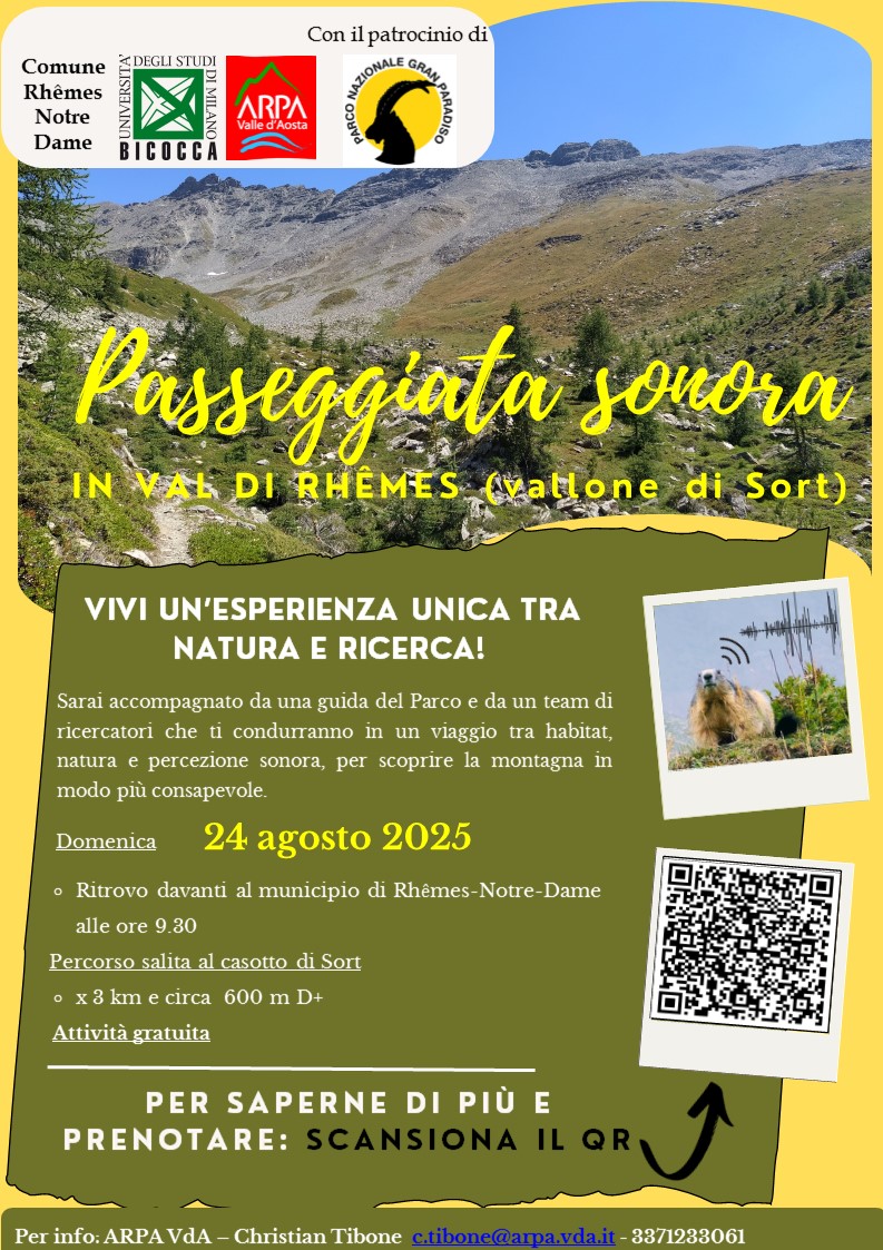 Locandina patrocinio