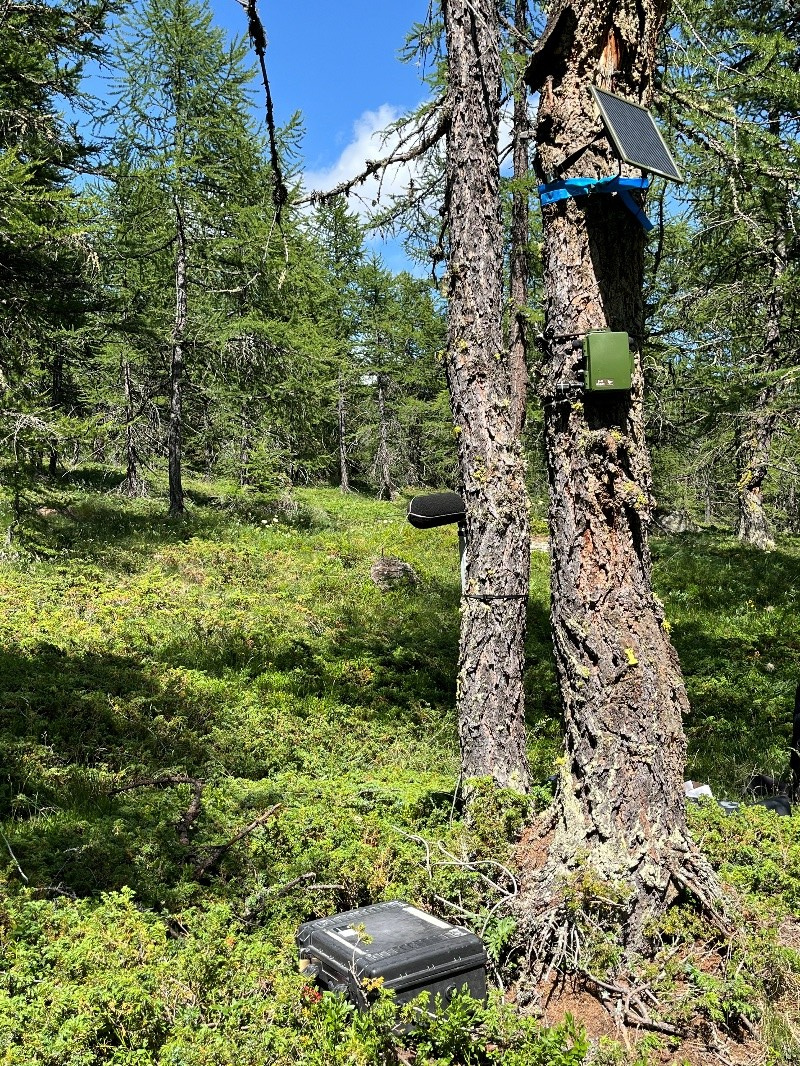 01 strumentazione lariceto