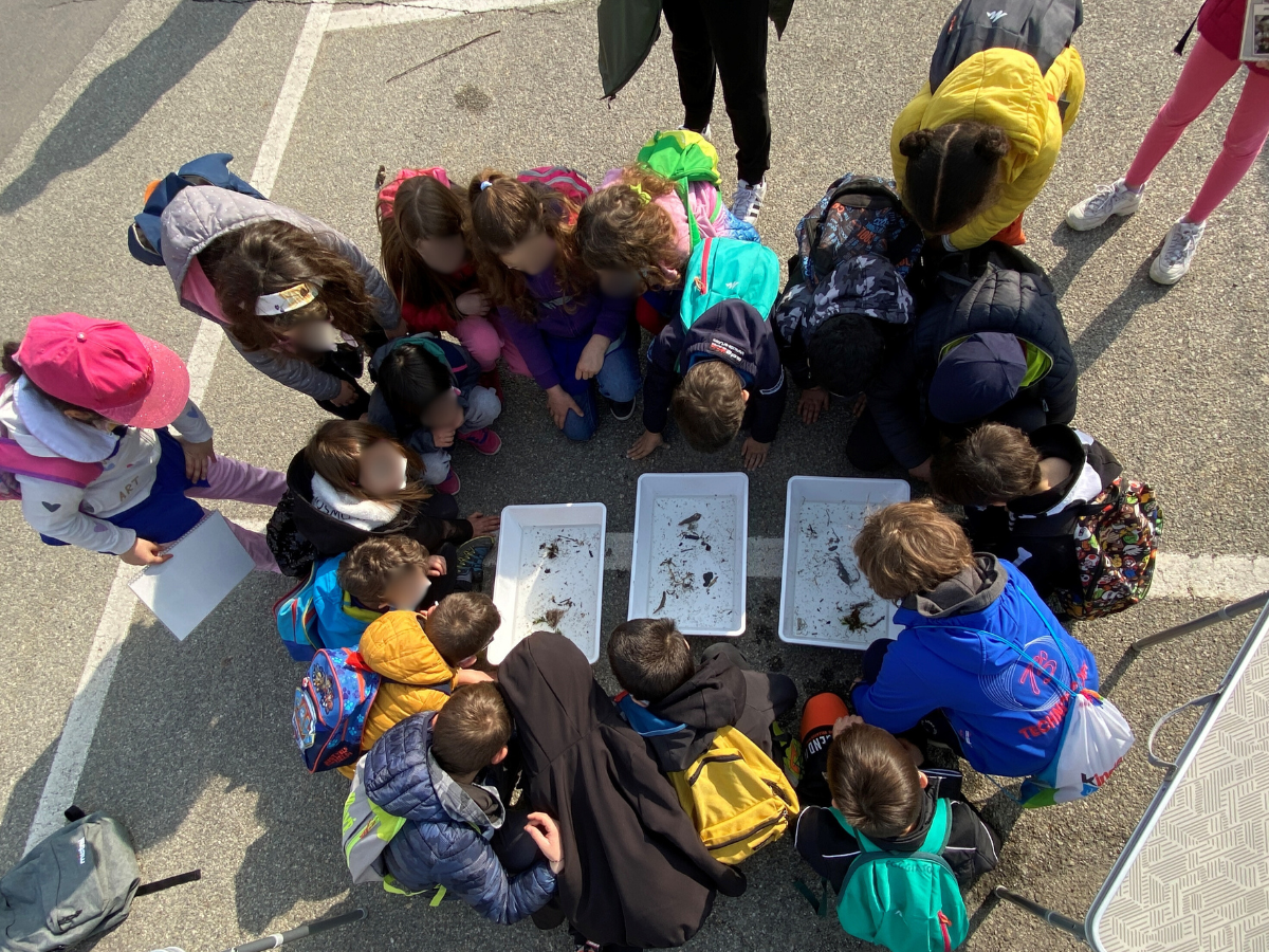 Edu alla sostenibilità2025