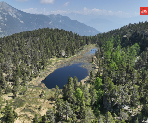 immagine aerea dalla quale si vedono alberi, lago, zona umida circostante, montagne e nuvole e cielo sullo sfondo