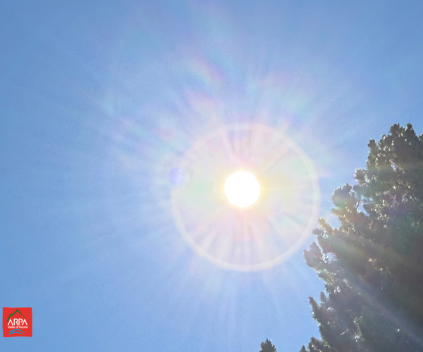 sole in un cielo azzurro e un larice sulla sinistra