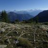 arbusti in primo piano, rocce, una griglia di rilevazione che divide la porzione di terreno in quadrati, in lontananza le montagne e il cielo