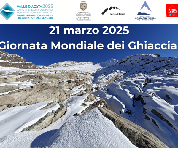 Immagine del ghiacciaio del Timorion, neve e crepacci