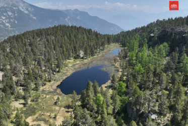 immagine aerea dalla quale si vedono alberi, lago, zona umida circostante, montagne e nuvole e cielo sullo sfondo