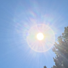 sole in un cielo azzurro e un larice sulla sinistra