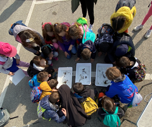 bambini accovacciati intorno a 3 vaschette di acqua contenenti i macroinvertebrati che devono osservare