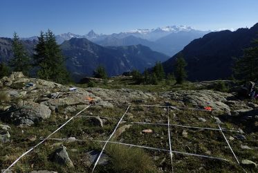 arbusti in primo piano, rocce, una griglia di rilevazione che divide la porzione di terreno in quadrati, in lontananza le montagne e il cielo