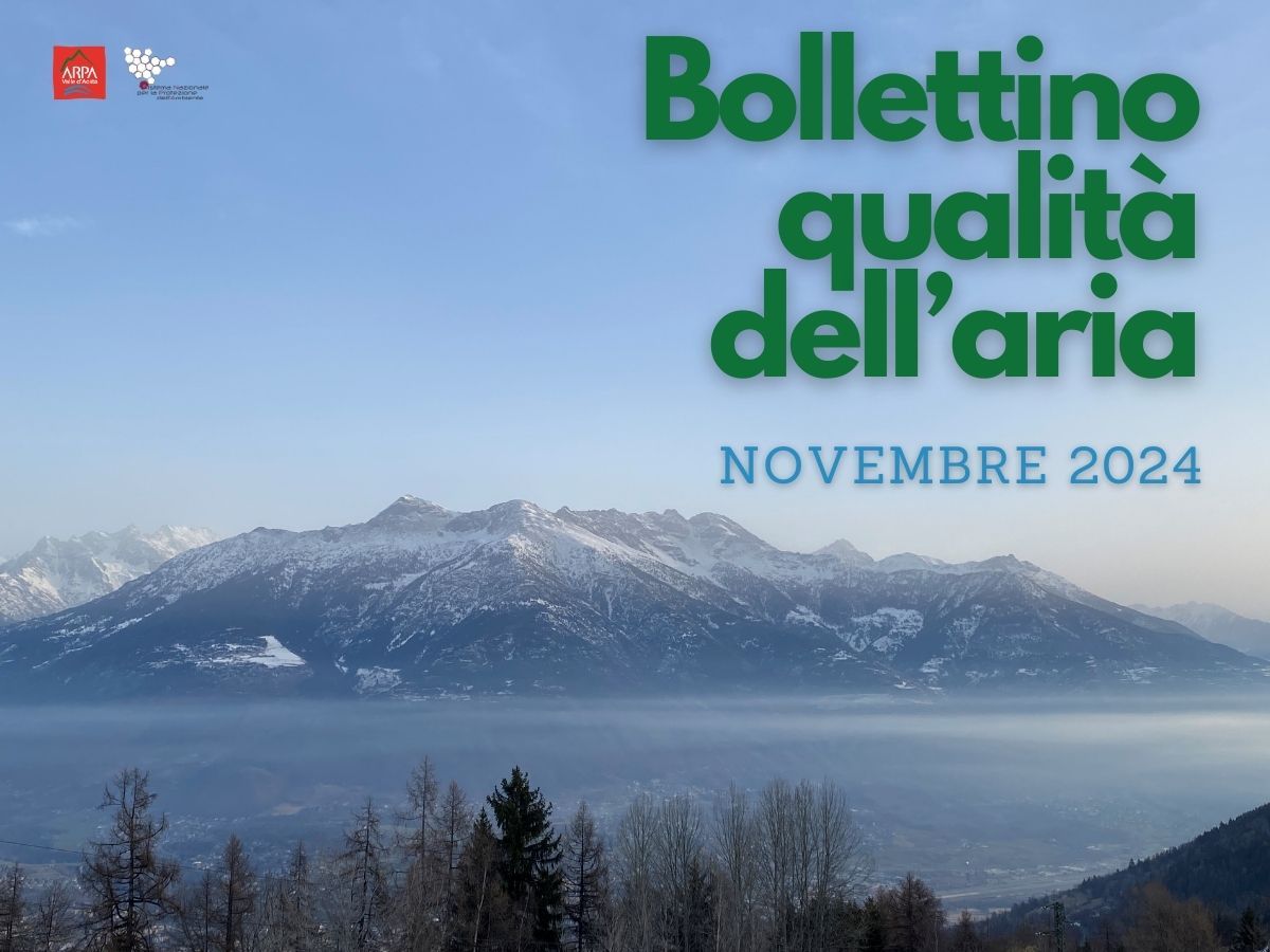 alberi in primo piano, strato di polveri, montagna in secondo piano. Titolo Bollettino qualità dell'aria novembre 2024