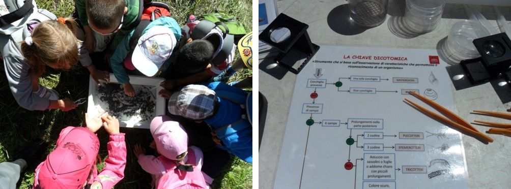 Coinvolgimento di alcuni studenti nelle attività di riconoscimento degli organismi