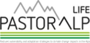 PastorAlp Life