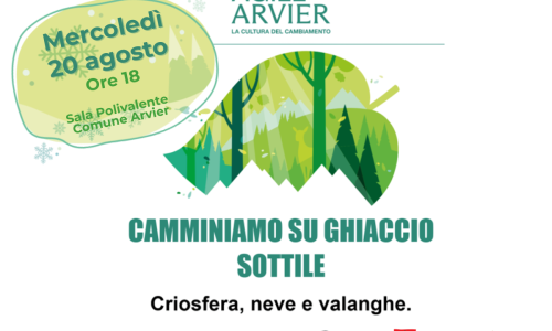 Camminiamo su ghiaccio sottile - Criosfera, neve  e valanghe