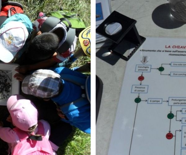 Coinvolgimento di alcuni studenti nelle attività di riconoscimento degli organismi